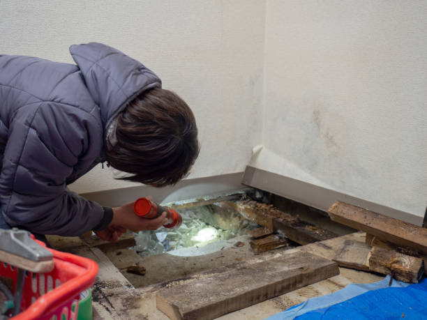 Mold Remediation for Rental Properties in Yardville, NJ