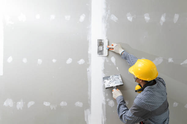 Best Black Mold Removal  in Yardville, NJ