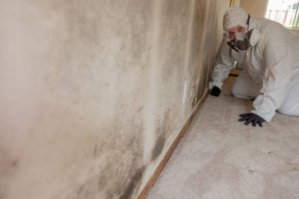 Best Airborne Mold Testing  in Yardville, NJ