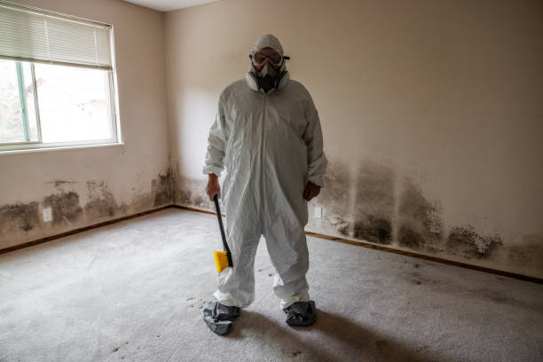 Best Residential Mold Inspection & Testing  in Yardville, NJ